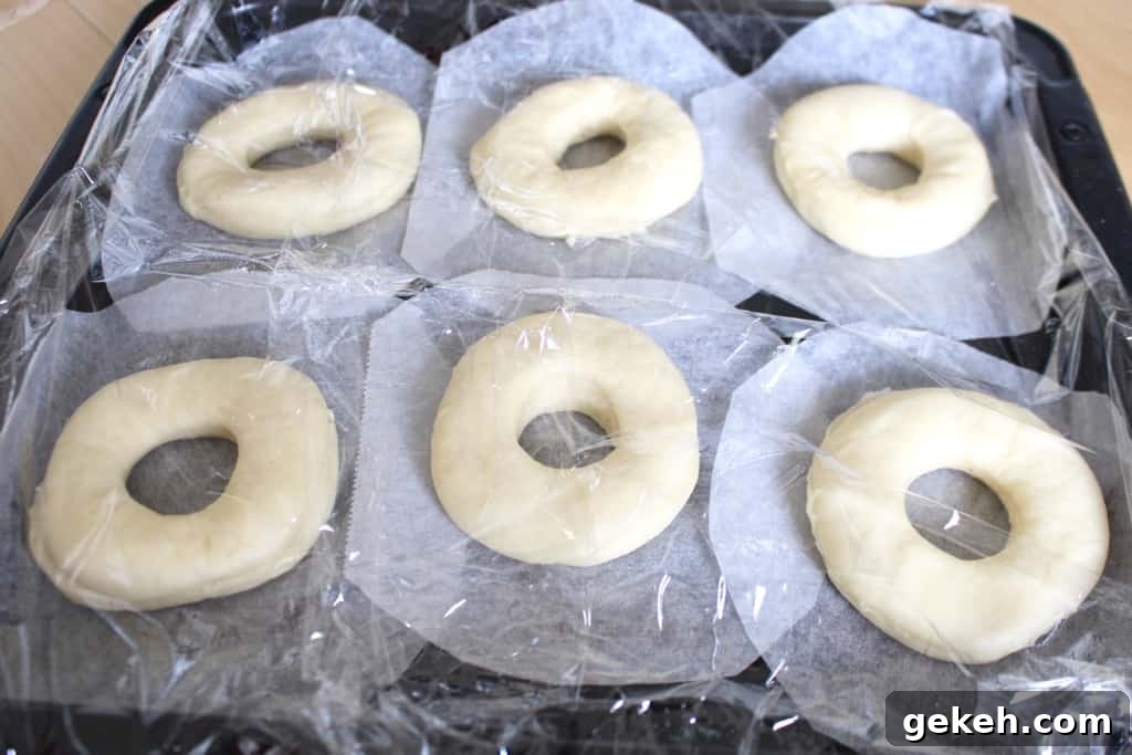 Homemade Doughnuts from a Bread Machine: Soft, Fluffy Recipe 4 Donut rings rising