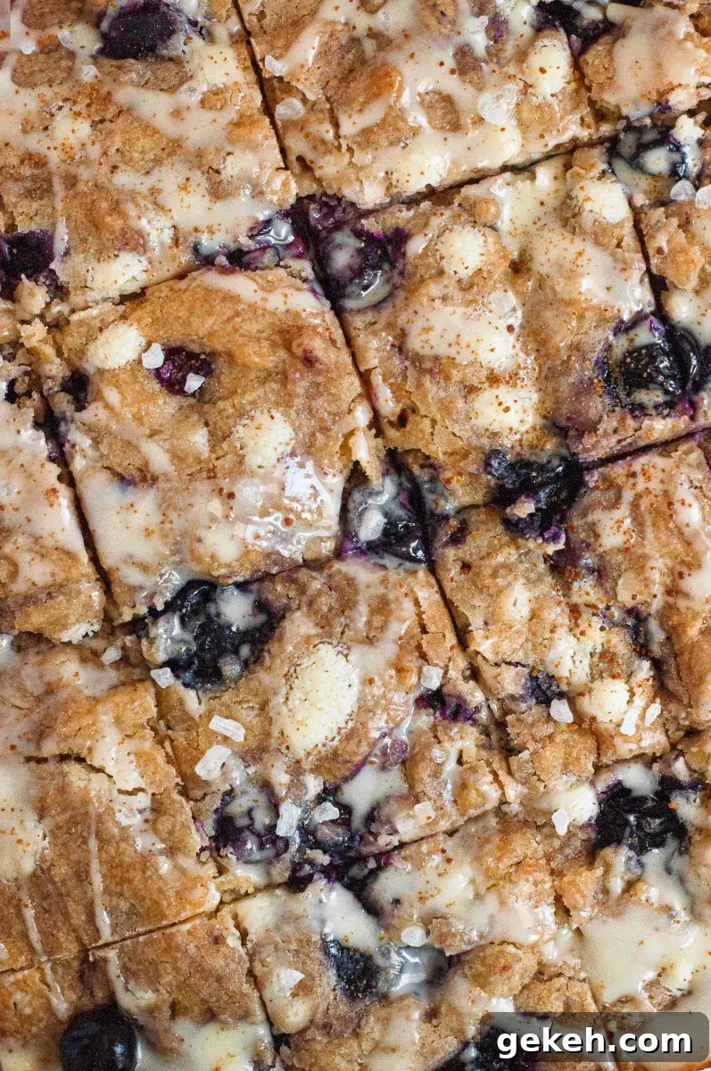 Gluten-Free Vegan Blueberry Blondies Recipe 6 Golden blueberry blondies loaded with white chocolate chips and cut into squares.