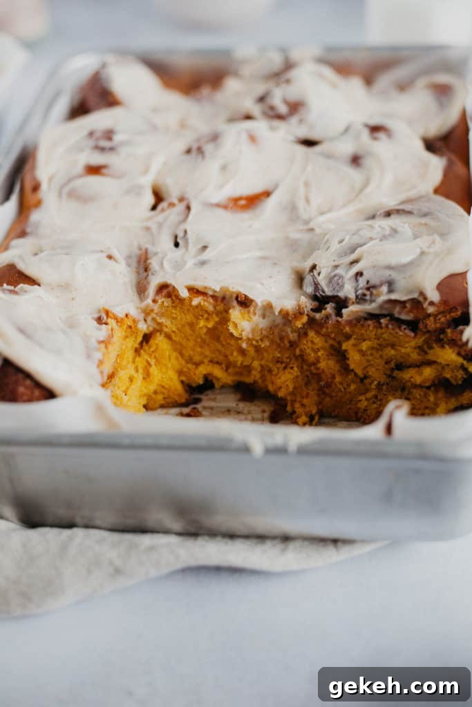 Pumpkin Cinnamon Rolls with Brown Butter Frosting Recipe 4 tray of pumpkin spice cinnamon rolls