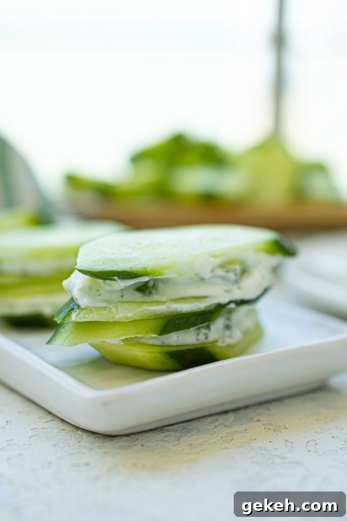 Refreshing Cucumber and Dill Tea Sandwiches for Entertaining 3 Cucumber slices with cream cheese spread on them.