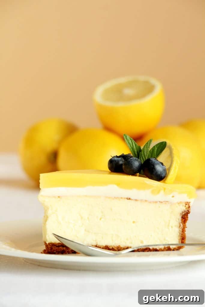 Creamy Lemon Cheesecake Recipe: Zesty Slice of Perfection 5 best cheesecake with lemon flavour on white plate