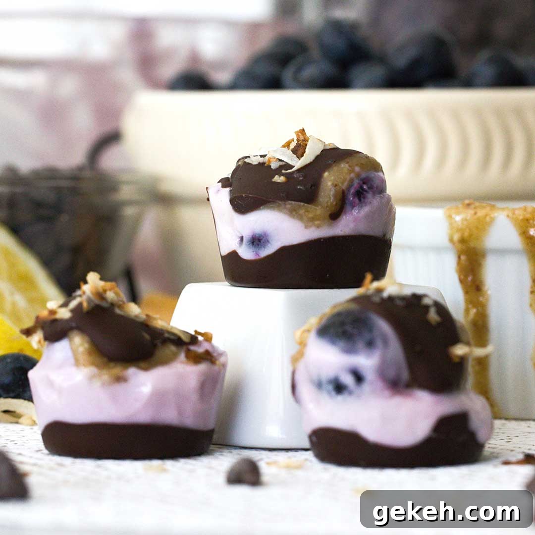 A close-up of three blueberry yogurt clusters with toasted coconut on top.