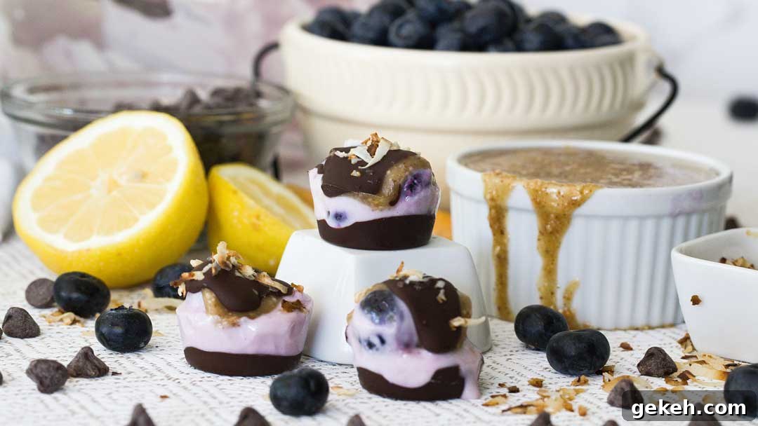 Three blueberry yogurt clusters with caramel and coconut