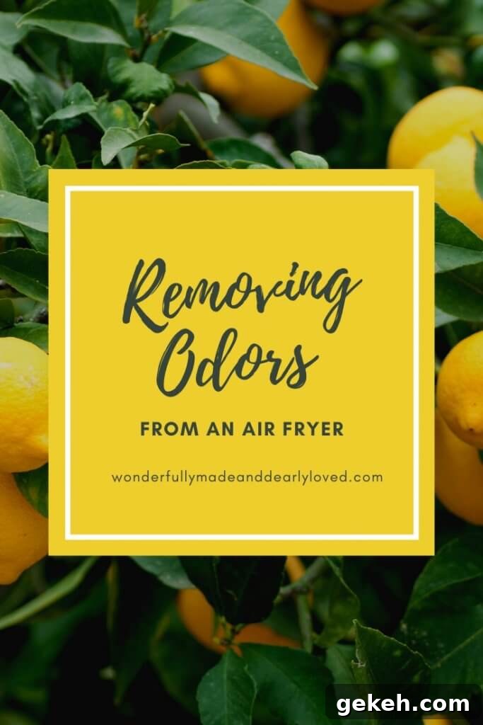 Removing odors from an air fryer using lemon juice