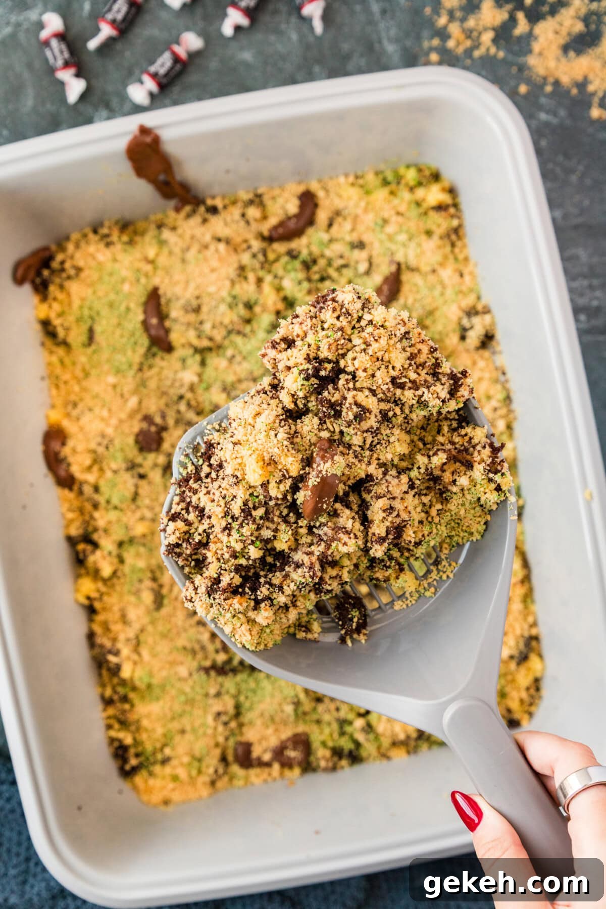 Litter scooper of Kitty Litter Cake held above the cake