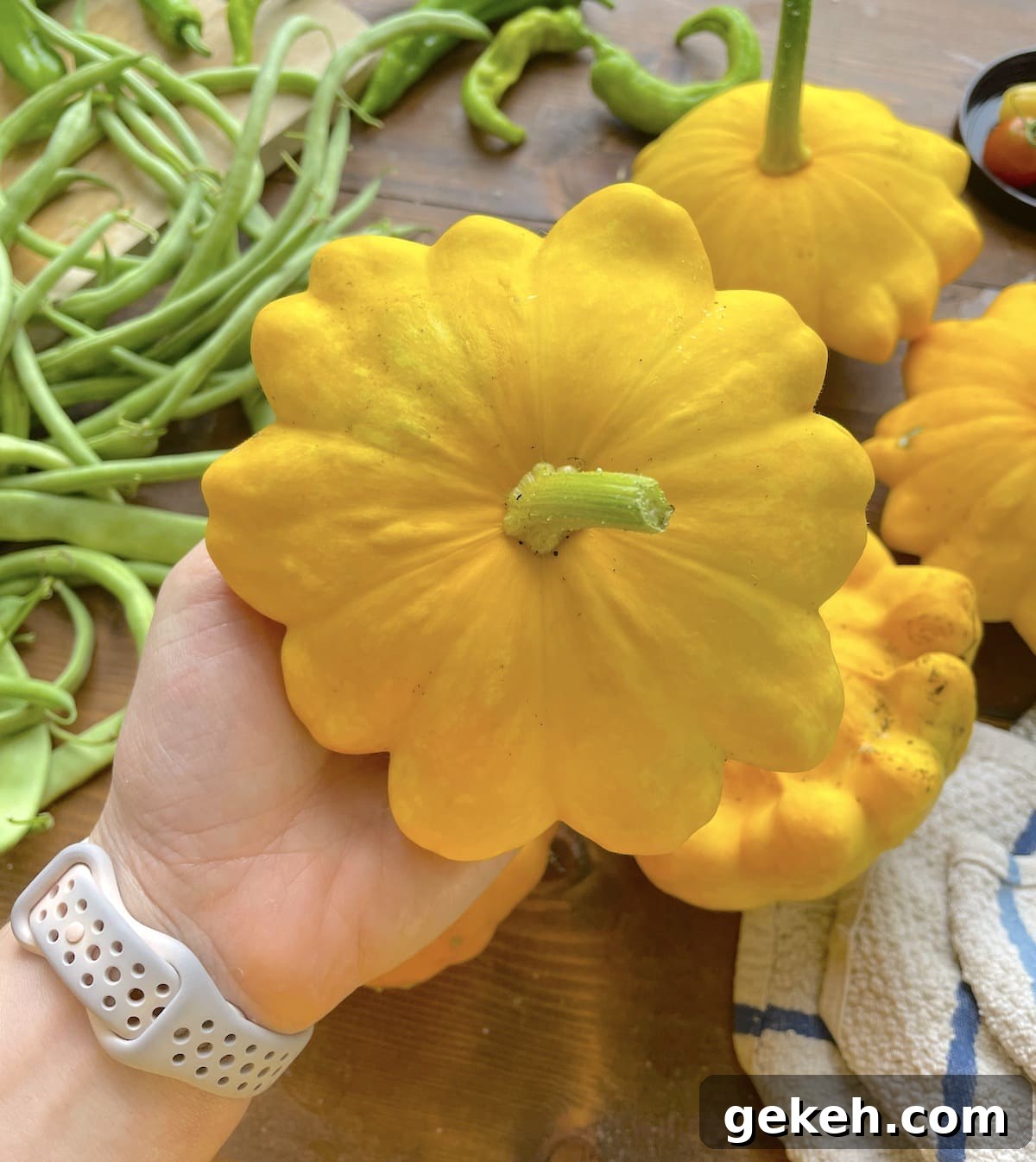 Perfectly Sautéed Summer Squash with Garlic and Herbs 13 A hand holding a patty pan squash, freshly picked from the garden.