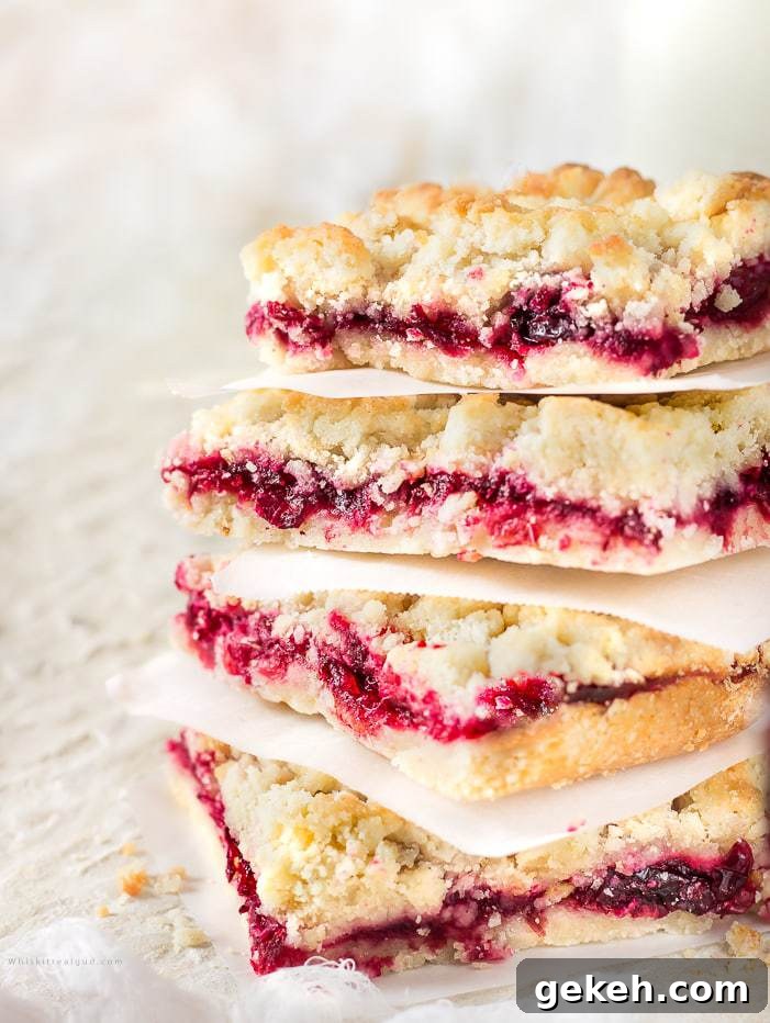 Cranberry Bars