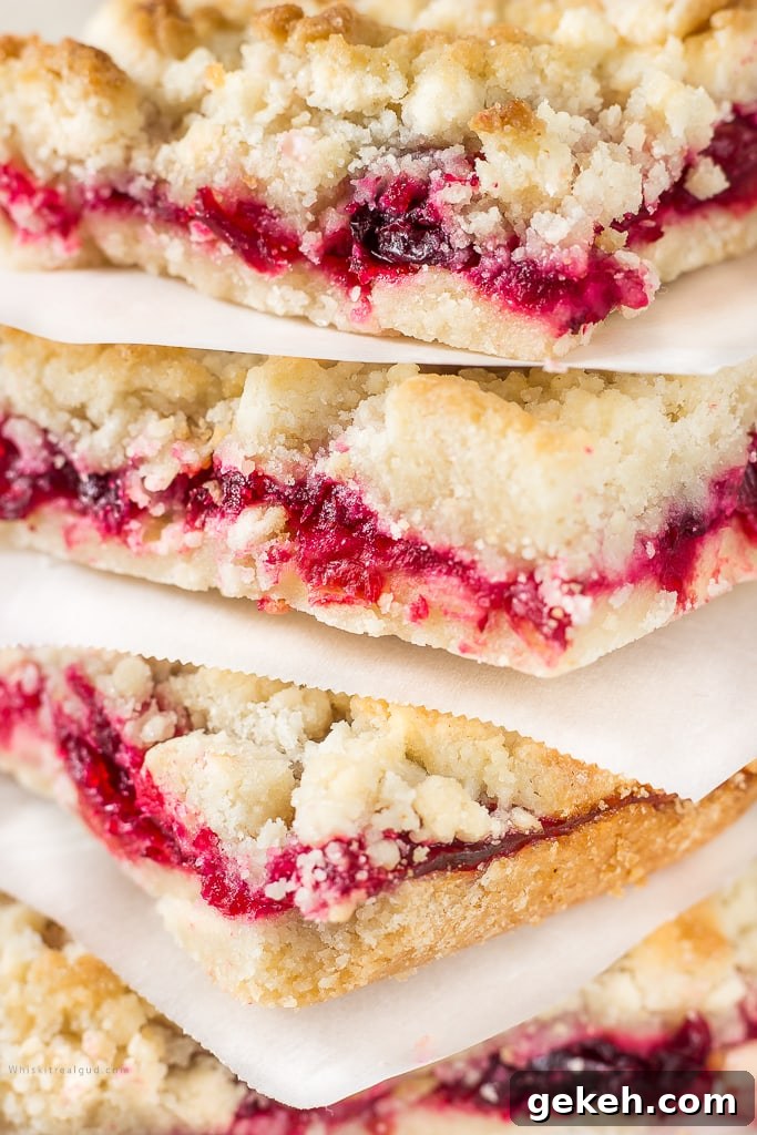 Cranberry Bars