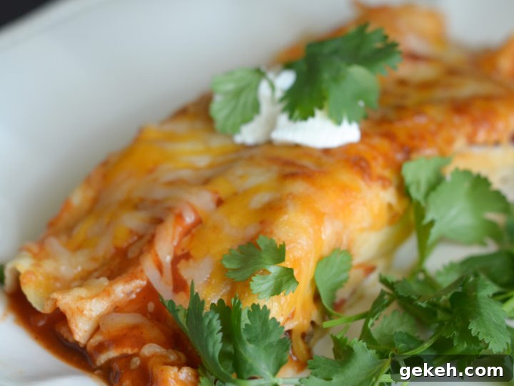 Image for Air Fryer Cheesy Beef Enchiladas