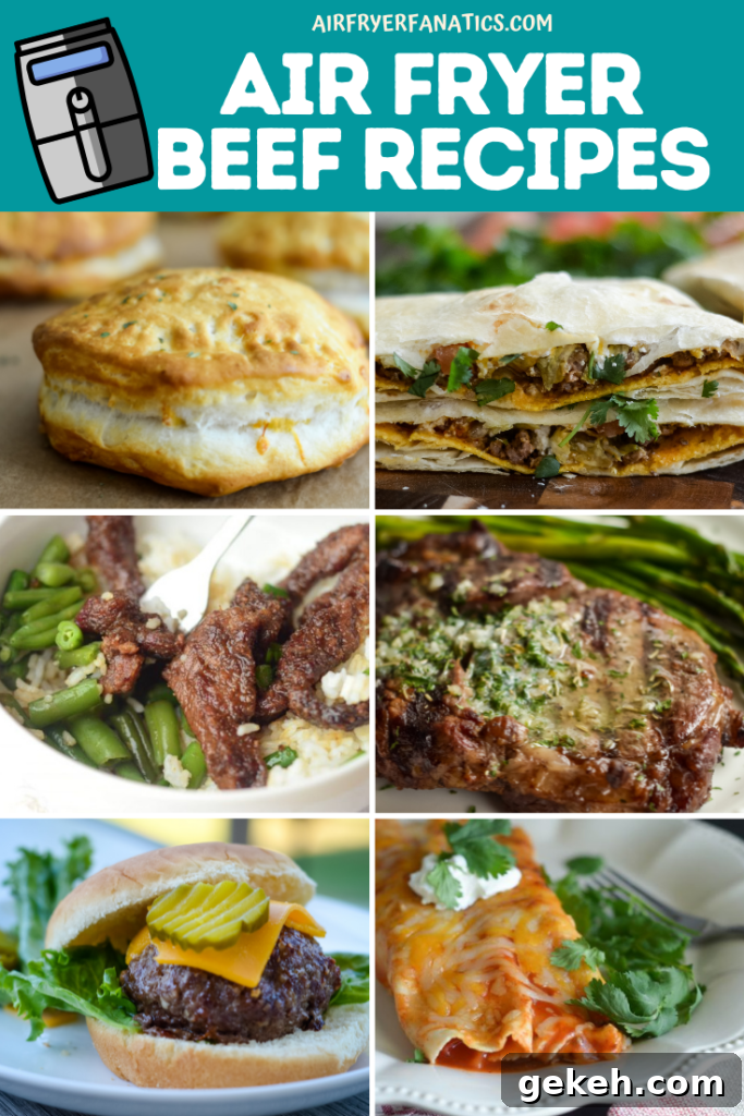 AIR FRYER BEEF RECIPES
