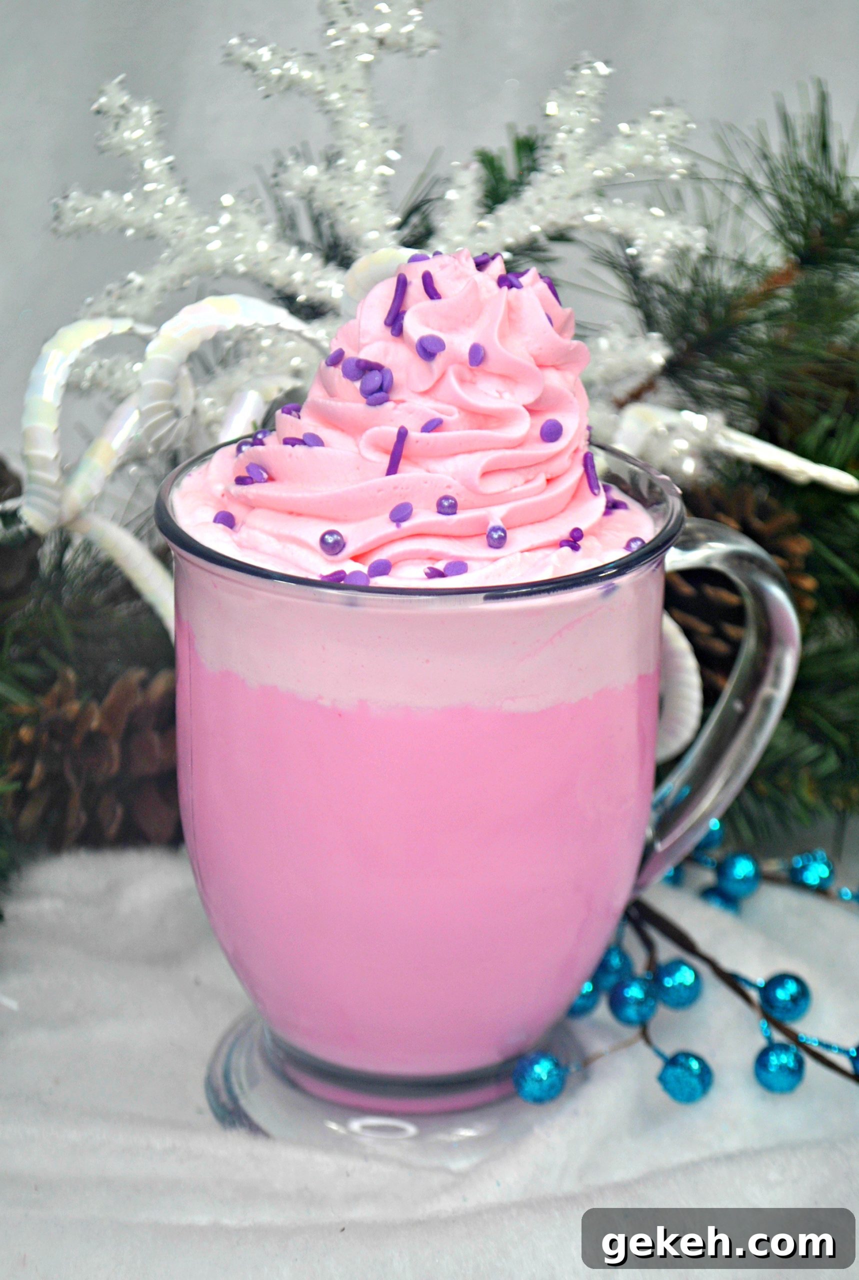 Sugar Plum White Hot Chocolate with Cotton Candy Whipped Cream 3 img 6369 2 scaled