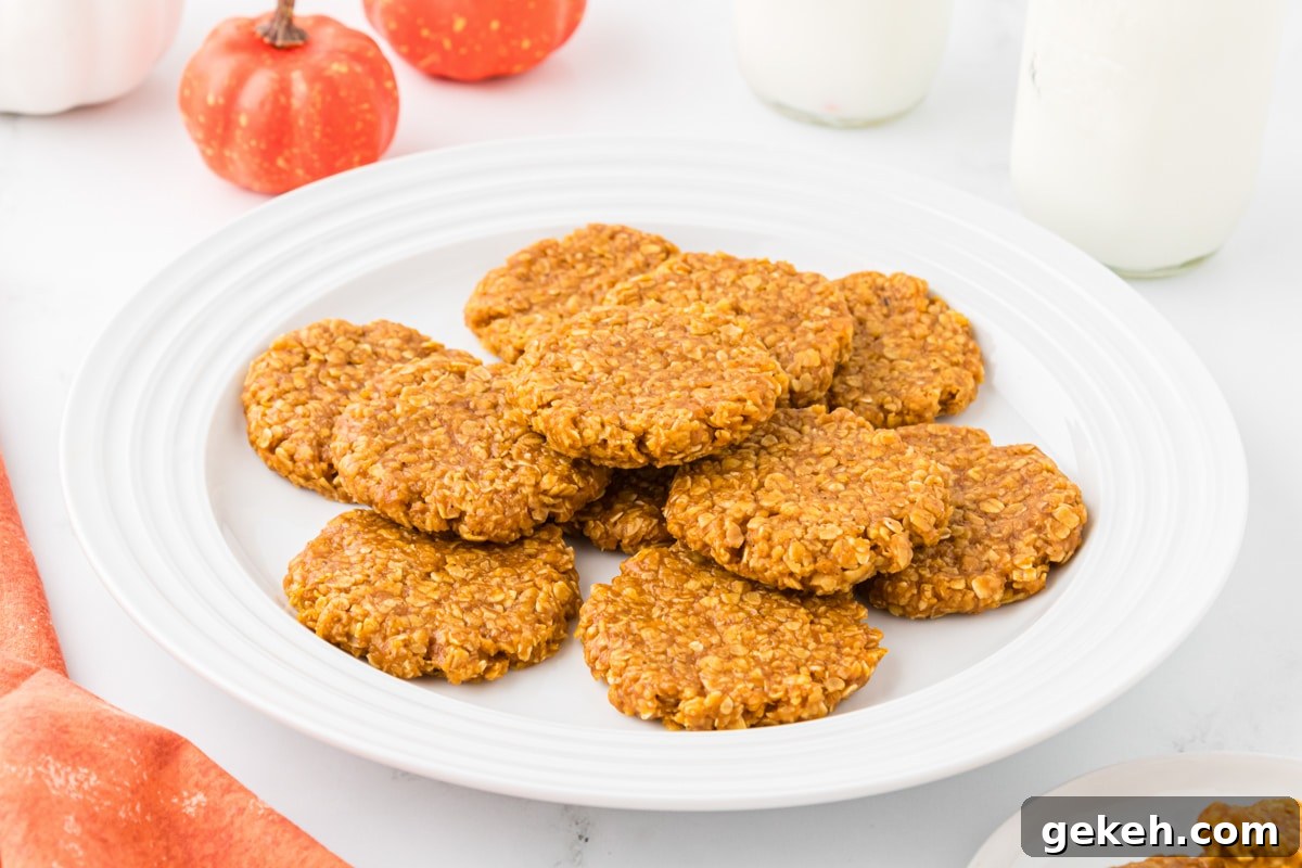 No-Bake Pumpkin Oat Cookies: Quick Fall Treats 11 A plate full of pumpkin oatmeal cookies.