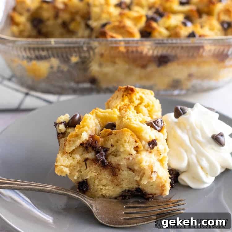 bread pudding with chocolate chips and whipped cream on a gray plate