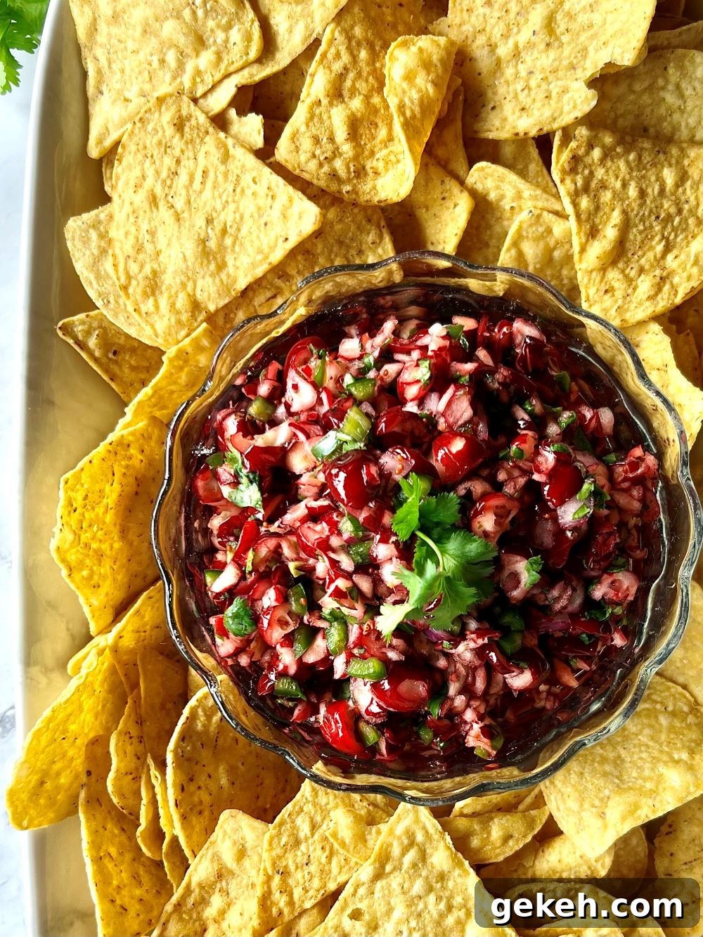 Bowl of Cranberry Salsa