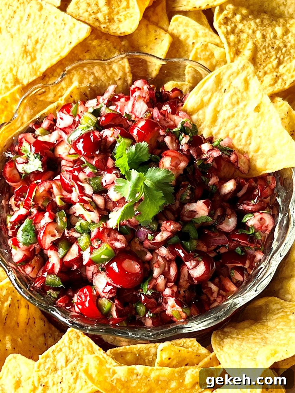 Cranberry Salsa thumbnail