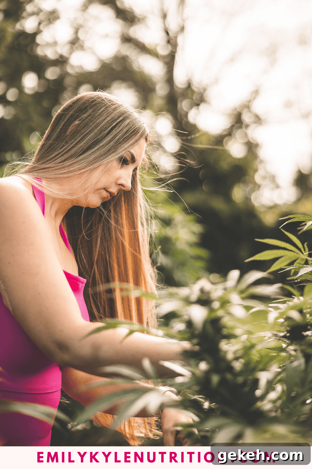 Home Cannabis Growing Guide for Beginners: Step-by-Step Tips 5 img 69620 4