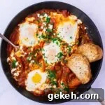 Shakshouka thumbnail