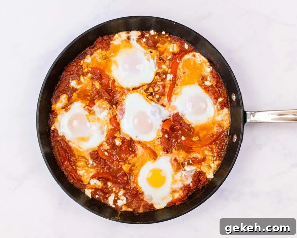 fully cooked shakshouka before adding any garnishes.
