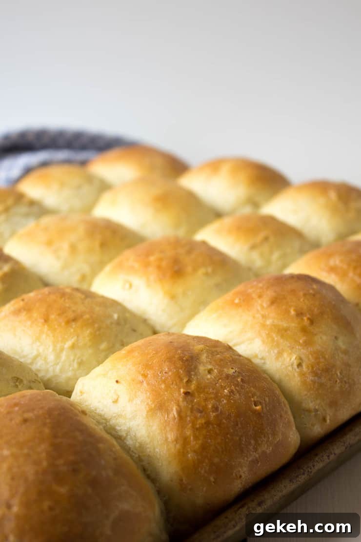 Soft Oatmeal Dinner Rolls Recipe for Fluffy Homemade Rolls 5 A pan full of cooked rolls.