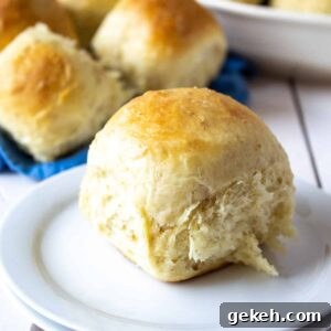Soft Oatmeal Dinner Rolls Recipe for Fluffy Homemade Rolls 10 A round shaped dinner roll on a white plate.