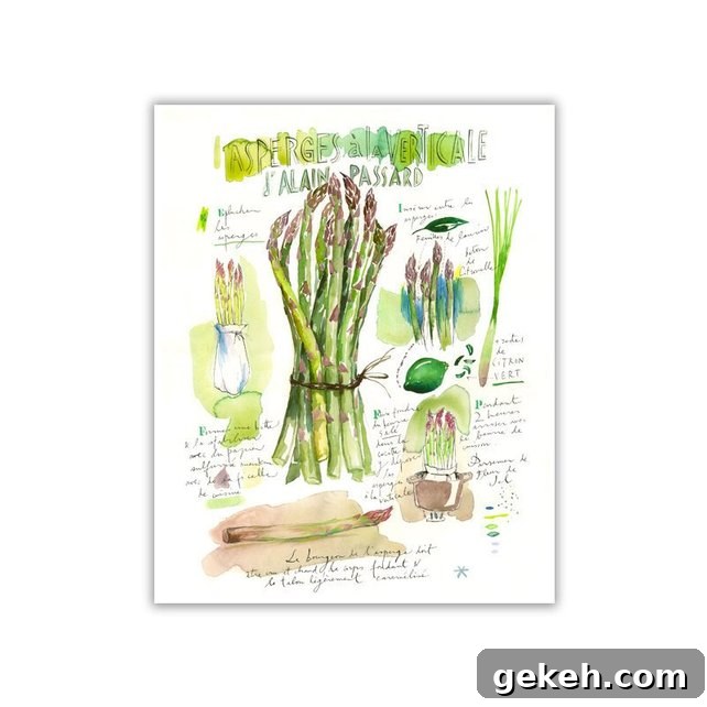 French Food Prints Asperges Verticale