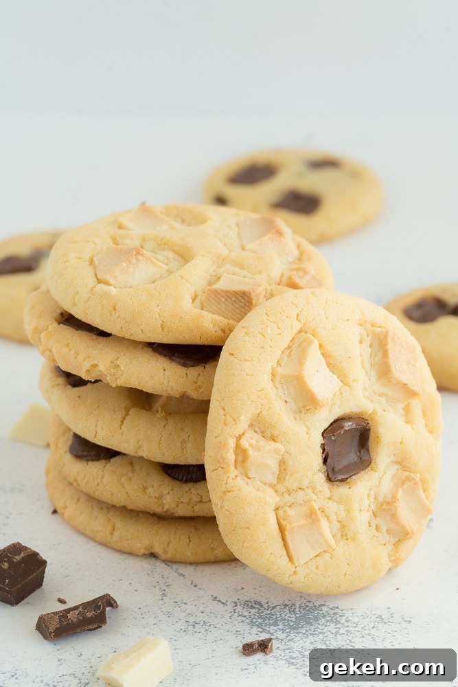 Perfectly Chewy Chocolate Chip Cookie Recipe 2 Classic Cookies from the US