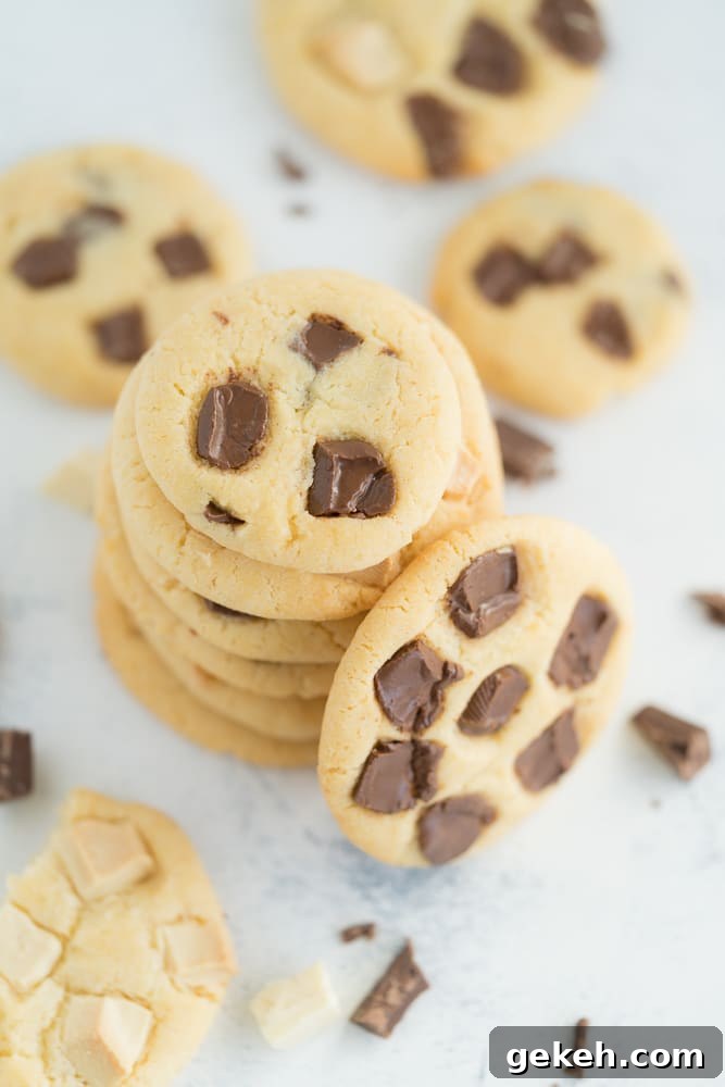 Perfectly Chewy Chocolate Chip Cookie Recipe 4 Variable Cookie Recipe with Chocolate Chunks