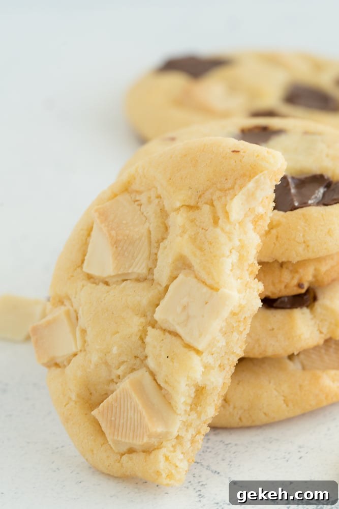 Perfectly Chewy Chocolate Chip Cookie Recipe 5 Chocolatey Recipe