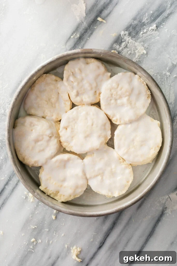 old fashioned buttermilk biscuits cut out and placed in baking pan brushed with buttermilk