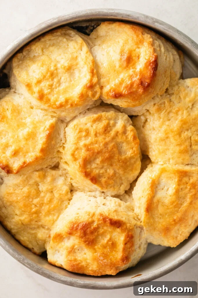baked old fashioned buttermilk biscuits