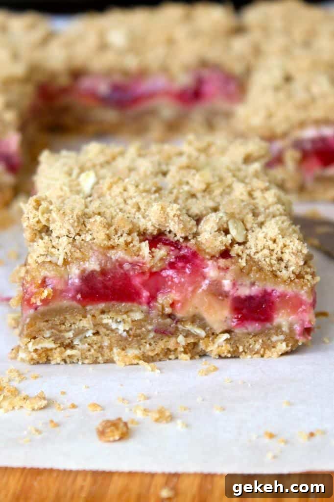 Buttery Plum Crumble Bars: Simple Recipe for Fruity Dessert 2 PLUM CRUMB BARS