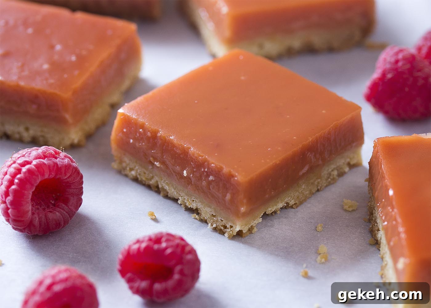 Meyer lemon raspberry bars with a flaky shortbread crust and raspberry-lemon curd. Finished lemon raspberry bars cut into squares showing the orange-red filling.