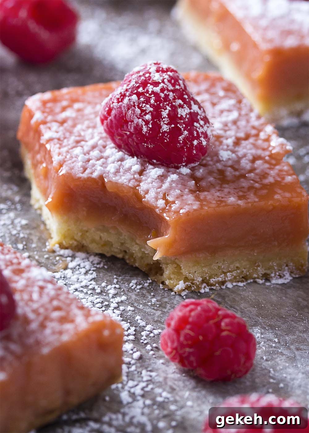 Lemon raspberry bar closeup, dusted with confectioners' sugar. Closeup of a lemon raspberry bar dusted with confectioners' sugar with a bite taken out.