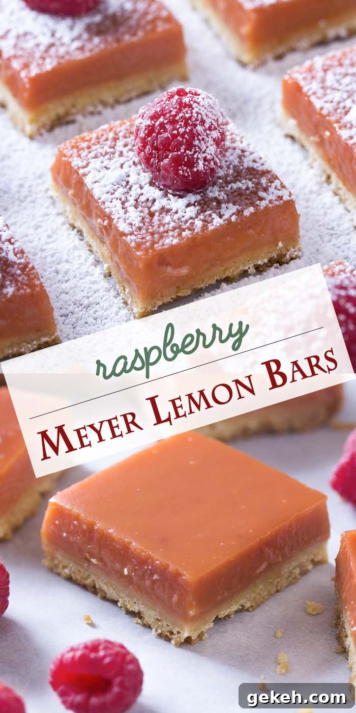 Meyer Lemon Raspberry Dessert Bars with Buttery Shortbread 4 Meyer lemon raspberry bars collage.