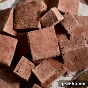 A pile of Chocolate Marshmallows.