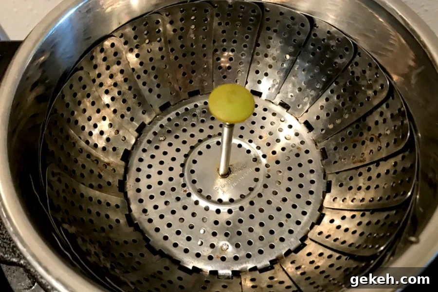 Instant Pot Edamame: Quick Steamed Appetizer in Minutes 4 steamer basket for instant pot edamame
