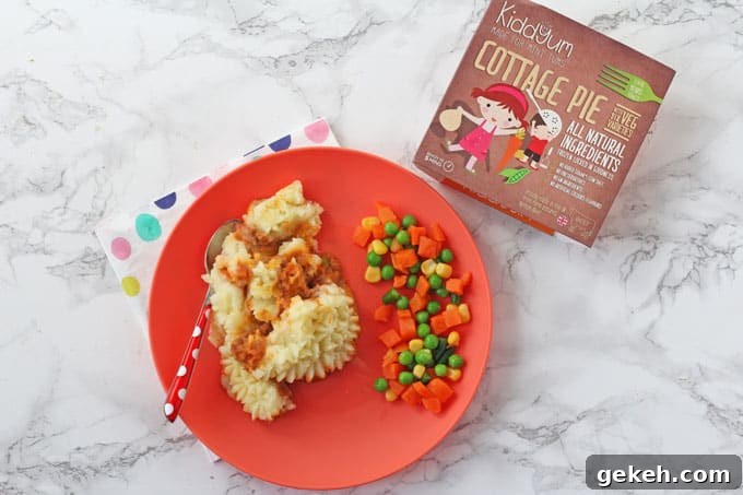 Kiddyum Frozen Meals for Kids: Nutritious, Ready-to-Serve Options 5 Cottage Pie - Kiddyum